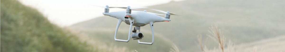 Phantom_flying_in_field