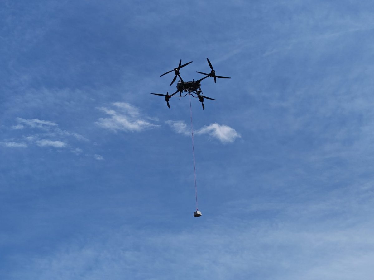 WhatsApp画像 2024-07-30 17.21.30_247af0bd