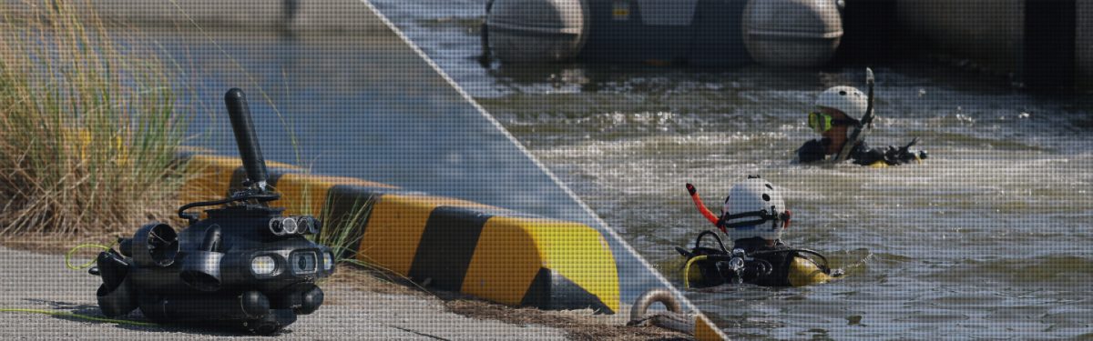 PEHP画像作成用 (0-00-00-00)